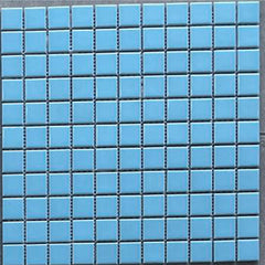 Swimming pool (25X25,Blue)