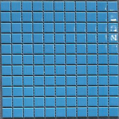 Swimming pool (25X25,Blue)