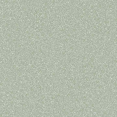 Morandi Terrazzo (600X1200, Color marble)