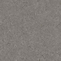 Lemmon Stone (600X300, Gray marble)